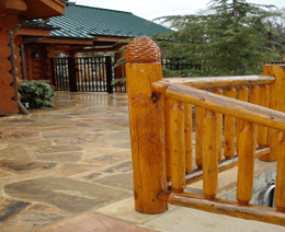 railing_with_pinecones